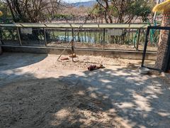 -苏州太湖西山岛开心农场