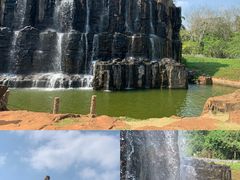 -海南热带野生动植物园