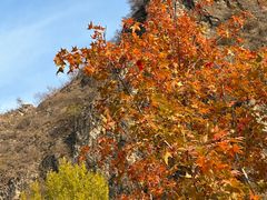 -百里山水画廊乌龙峡谷