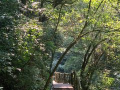 -碧峰峡风景区