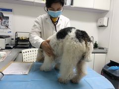-达爱动物医院·犬猫分区·CT·复杂眼科(远洋山水分院)