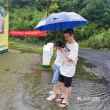 路过迷宫，试探性的进去看了