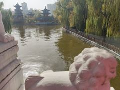 -迎泽公园