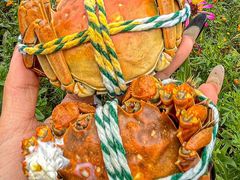 -丫丫蟹庄·苏式园林农家乐·阳澄湖大闸蟹(阳澄湖莲花岛店)