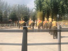 -云南民族村