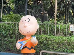 -史努比缤纷世界