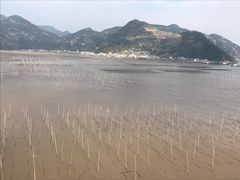 -北岐滩涂