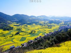 -牛街螺丝田