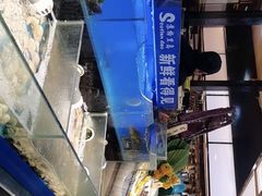 -苏格里岛自助烧烤火锅(花果园兰花广场店)