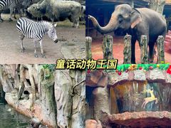 -长鹿旅游休博园