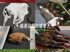 -晓港公园