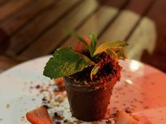 花盆提拉米苏-海角轩·三亚文华东方酒店