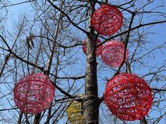 -上海长兴岛郊野公园