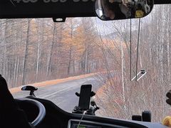 -莫尔道嘎国家森林公园