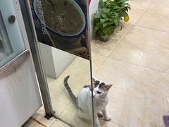 -玉椰林甜品店(创始店)