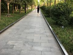 -唐城墙遗址公园
