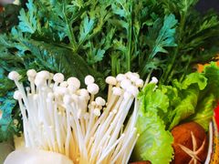 -东来顺铜锅炭火涮肉(上地华联店)