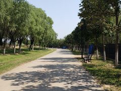 -永定河休闲森林公园