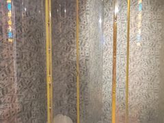 -不可思议减压馆·解压博物馆·摔碗发泄·团建定制