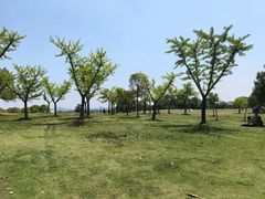 -钟山体育运动公园