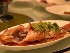 东星斑清蒸-金轩中餐厅 Jin Xuan(浦东丽思卡尔顿酒店)