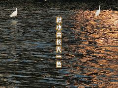 -成都南湖公园
