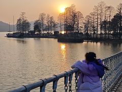 -东湖落雁景区