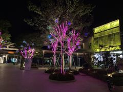 -雅达·阳羡溪山小镇中心