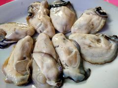 -花苑美食横琴生蚝火锅(拱北粤华路店)