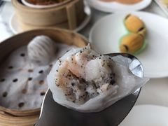 黑松露虾饺-唐阁海景中餐厅·早茶·粤菜•生日聚餐(海口朗廷酒店)