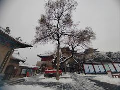 -洛阳周公庙博物馆