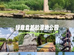 -滕州微山湖红荷湿地景区