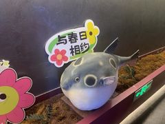 -肆月河豚·新淮扬菜·烤鸭(中关村店)