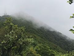 -梧桐山风景名胜区