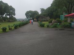 -荷塘月色湿地公园·向阳花洲