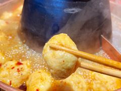 -东镇老火锅(长春路首店)