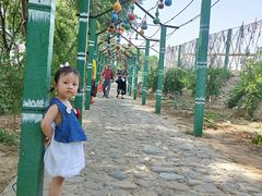 -东方巨龟苑景区