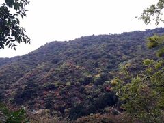 -香山公园