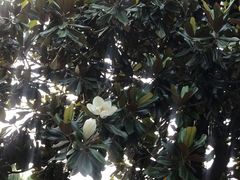 -竹泉村旅游度假区