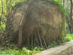 -白水寺森林公园