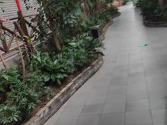 -森谷美食公园(杨行店)