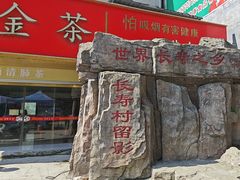 -长寿村