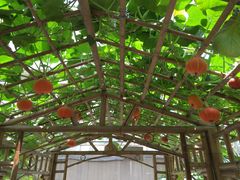 -万源龙顺度假庄园生态观光园