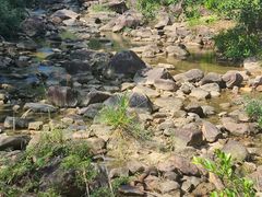 -广州白江湖森林公园