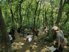 -紫金山山顶公园