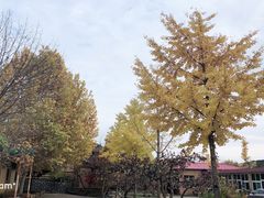 -丽泽山庄·生态怀柔菜·虹鳟鱼(红螺寺店)