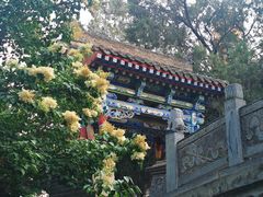 -白塔山公园