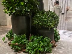 -阿纳迪酒店·秘境西餐厅