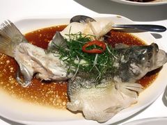 -至潮餐厅精致粤菜·活鲈鱼·走地鸡(珠江新城店)