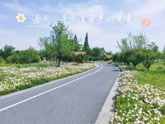 -良渚古城遗址公园